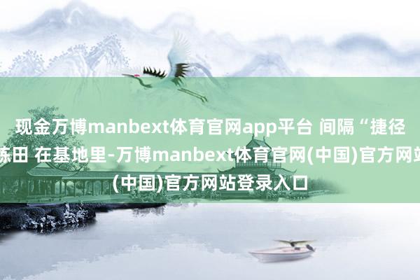 现金万博manbext体育官网app平台 间隔“捷径” 专设历练田 在基地里-万博manbext体育官网(中国)官方网站登录入口