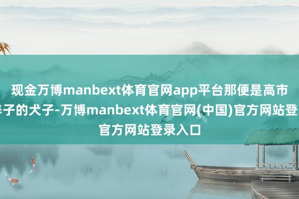 现金万博manbext体育官网app平台那便是高市早苗养子的犬子-万博manbext体育官网(中国)官方网站登录入口