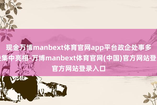 现金万博manbext体育官网app平台政企处事多个板块集中亮相-万博manbext体育官网(中国)官方网站登录入口