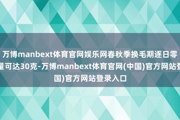 万博manbext体育官网娱乐网春秋季换毛期逐日零星毛发量可达30克-万博manbext体育官网(中国)官方网站登录入口