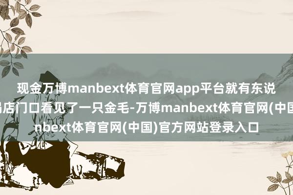 现金万博manbext体育官网app平台就有东说念主暗示在一家暖锅店门口看见了一只金毛-万博manbext体育官网(中国)官方网站登录入口