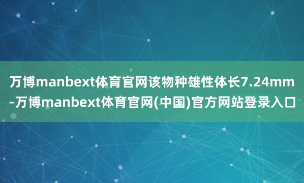 万博manbext体育官网该物种雄性体长7.24mm-万博manbext体育官网(中国)官方网站登录入口