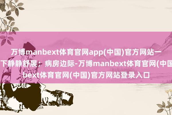万博manbext体育官网app(中国)官方网站一株“生命树”在阳光下静静舒展；病房边际-万博manbext体育官网(中国)官方网站登录入口