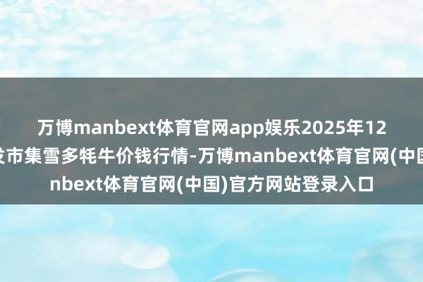 万博manbext体育官网app娱乐2025年12月25日寰球主要批发市集雪多牦牛价钱行情-万博manbext体育官网(中国)官方网站登录入口